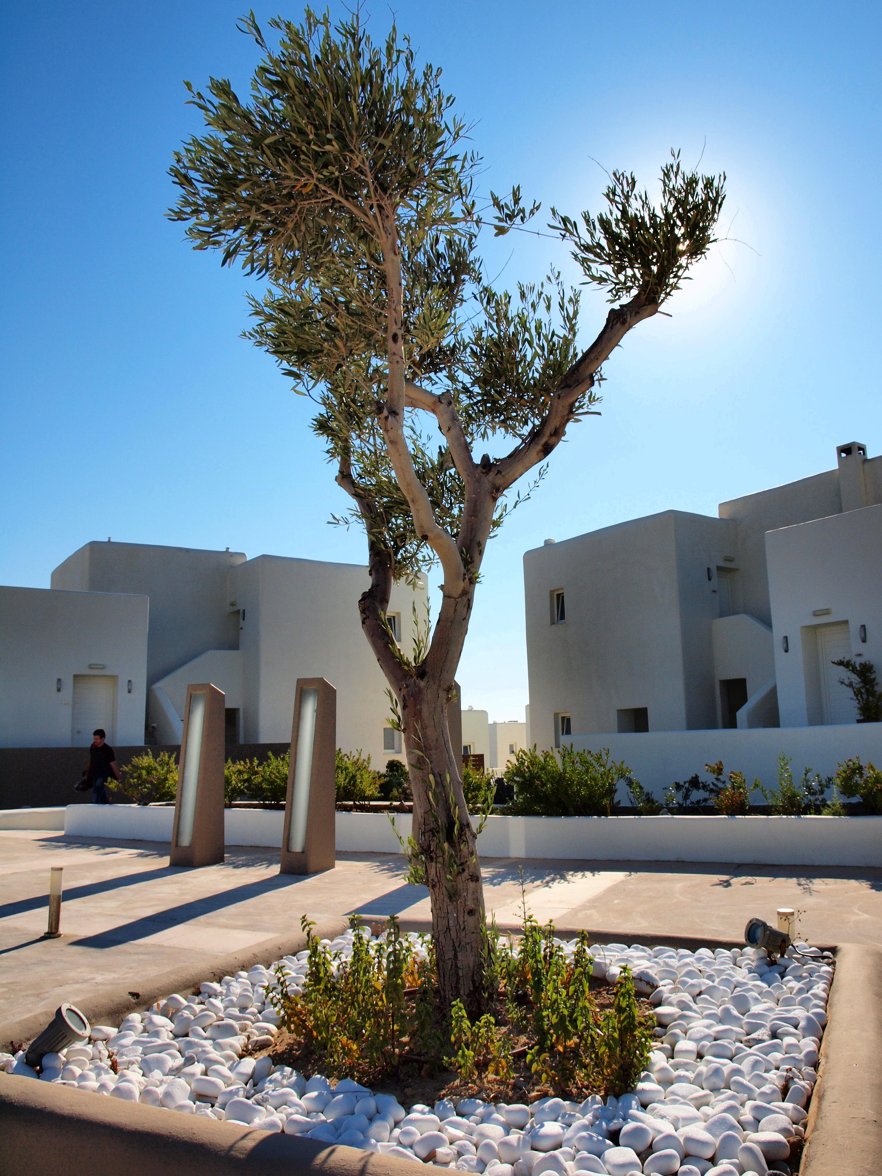 Archipelagos Resort Parikia  Bagian luar foto
